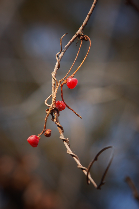 - Возвращайся, сделав круг...