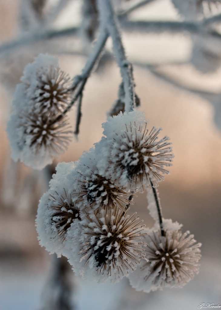 Новогодние игрушки...