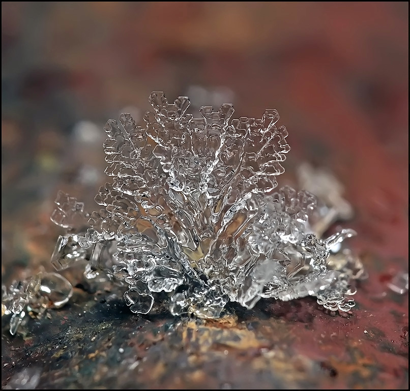 Букетик для неё...