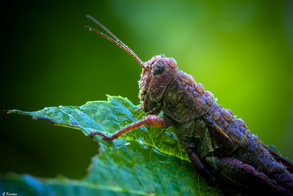 После душа...