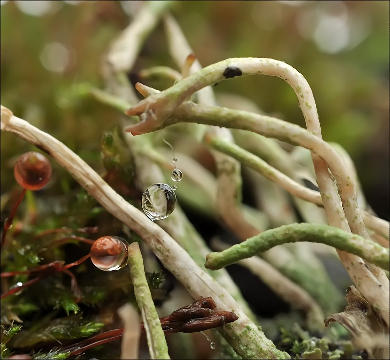 Рука дающая свободу...
