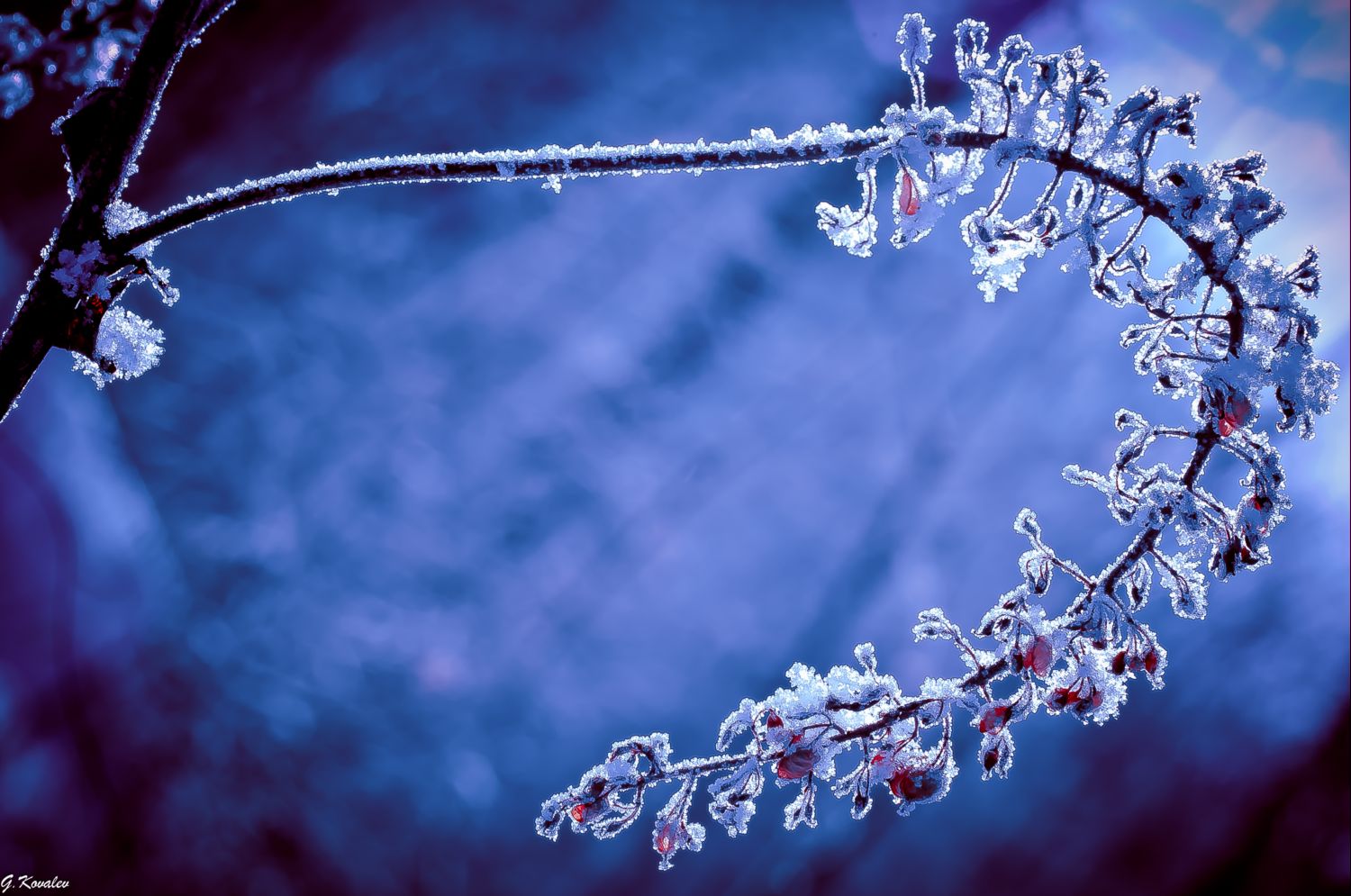 Белое ожерелье...