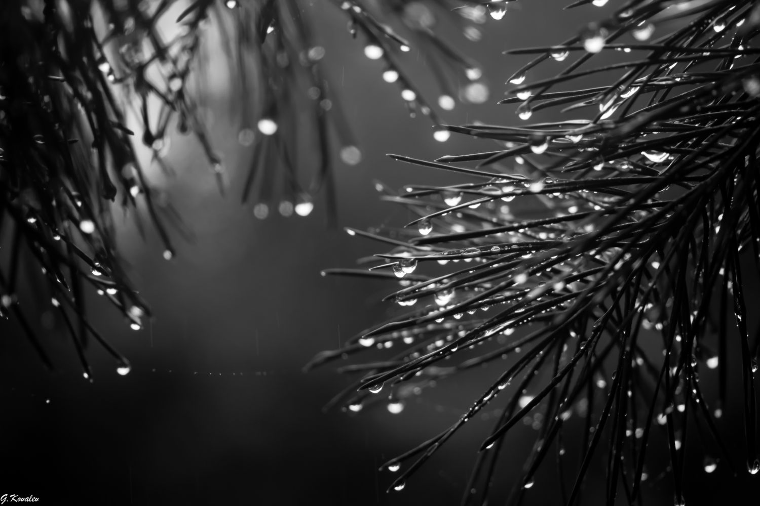 Там,за туманами...