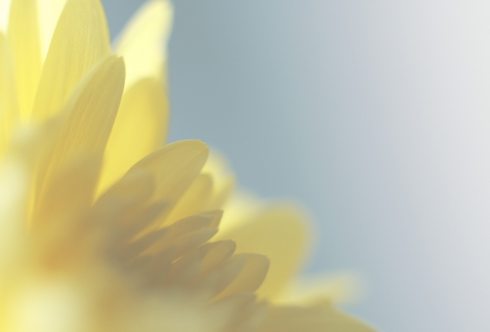 Прозрачность летних воспоминаний