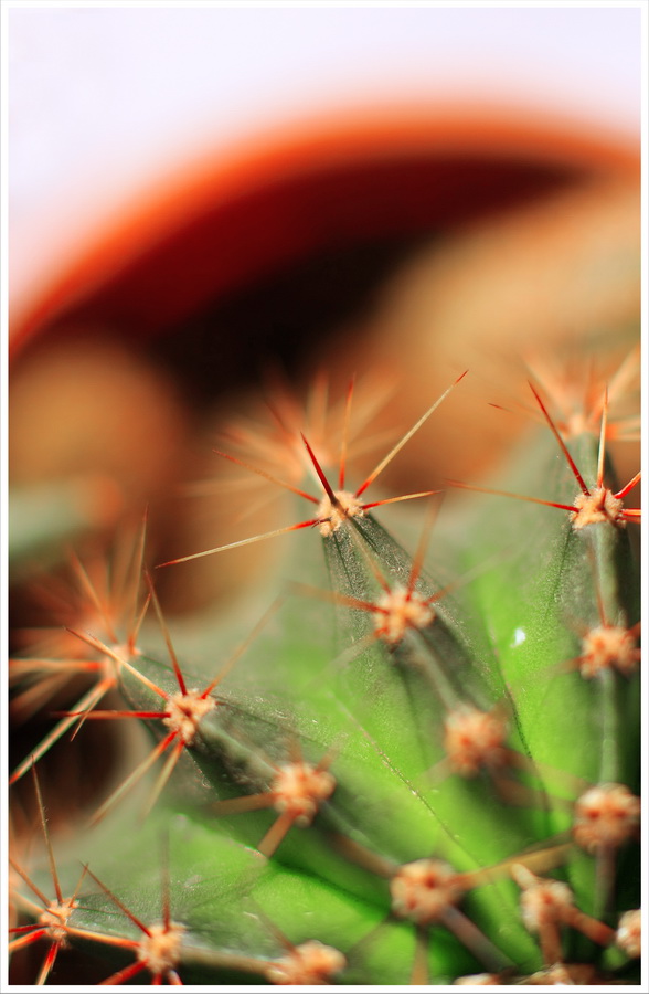 Небезобидный