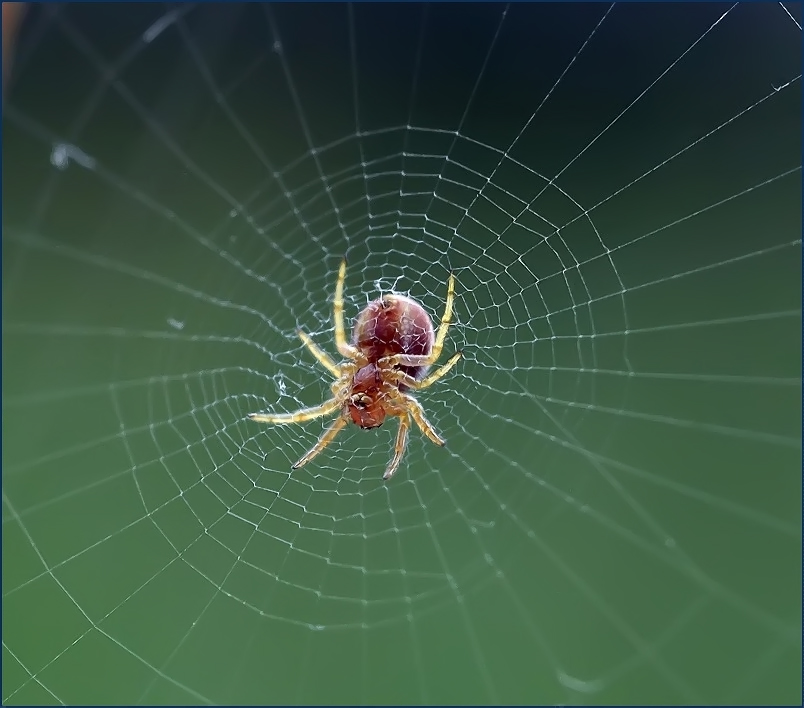 Небесная нагота...