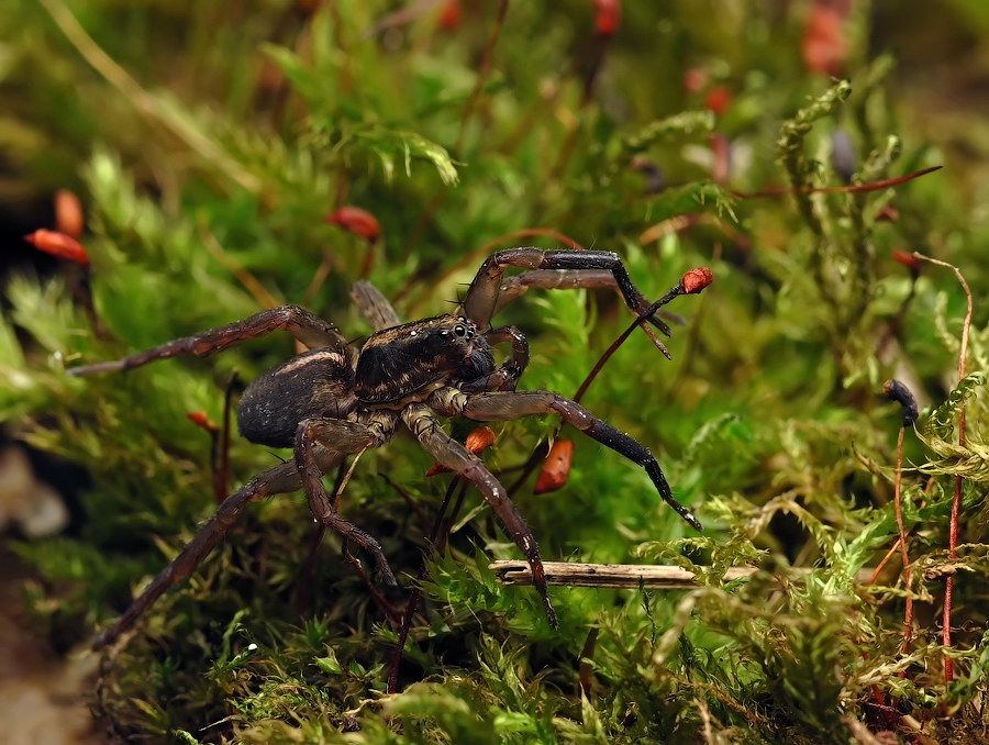 Скоро вечер..