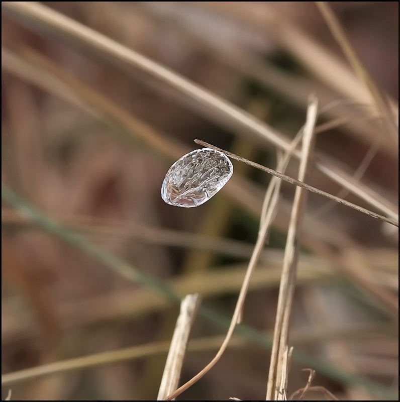 Длань ветра...