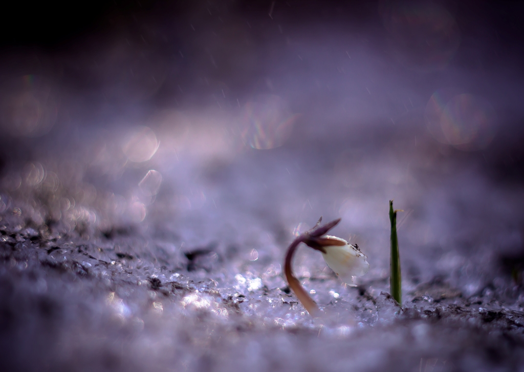 Новая жизнь...