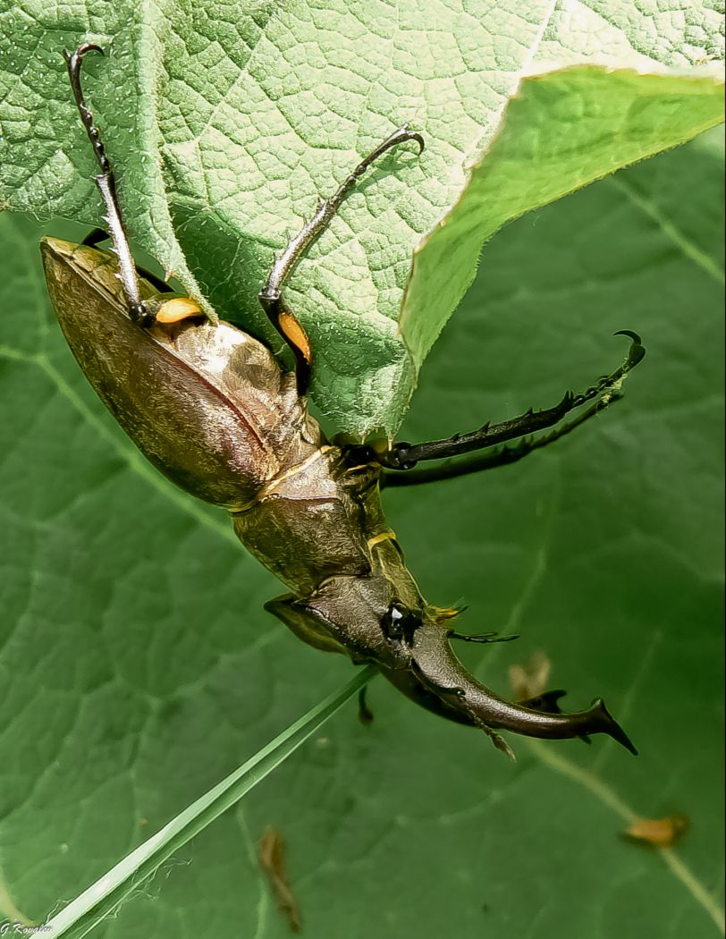 Вверх тормашками...