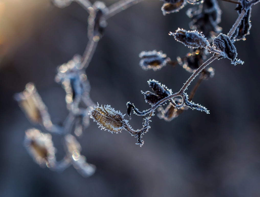 В гостях у сказки...
