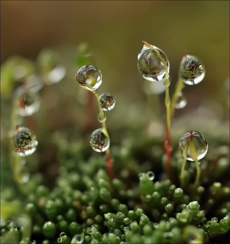 Своеобразно...