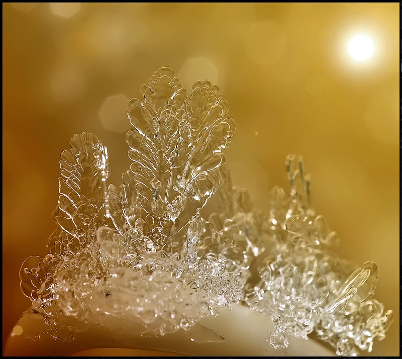 Пошли к королеве...