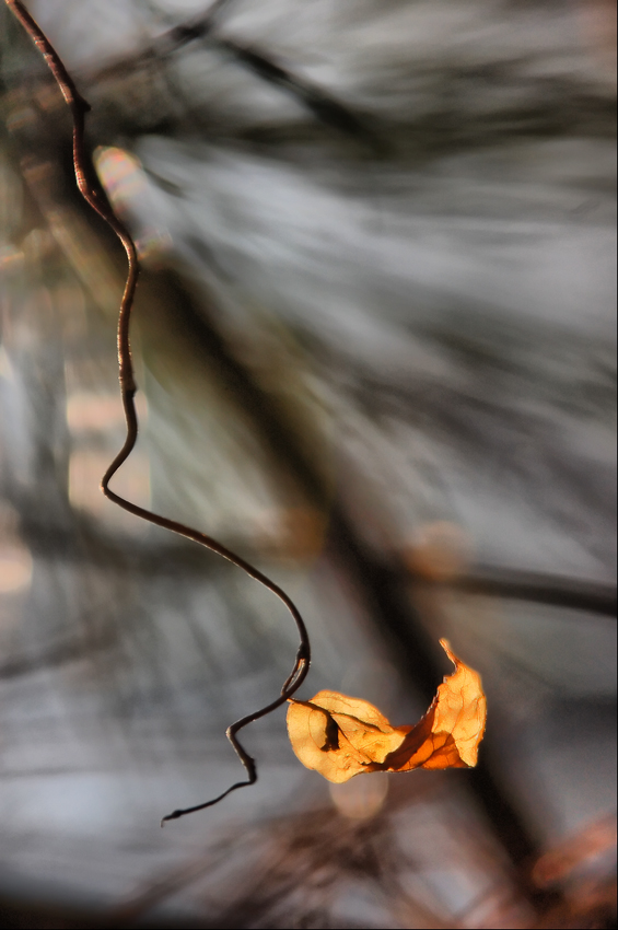 арифметика