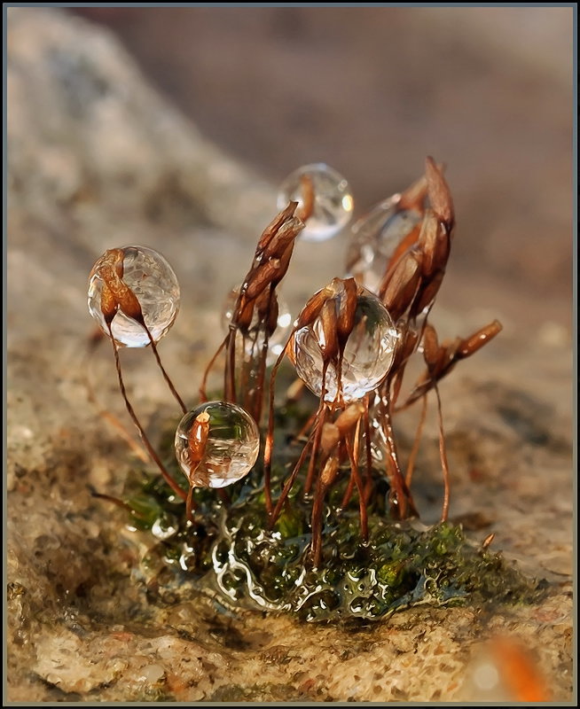 Ранние пташки...