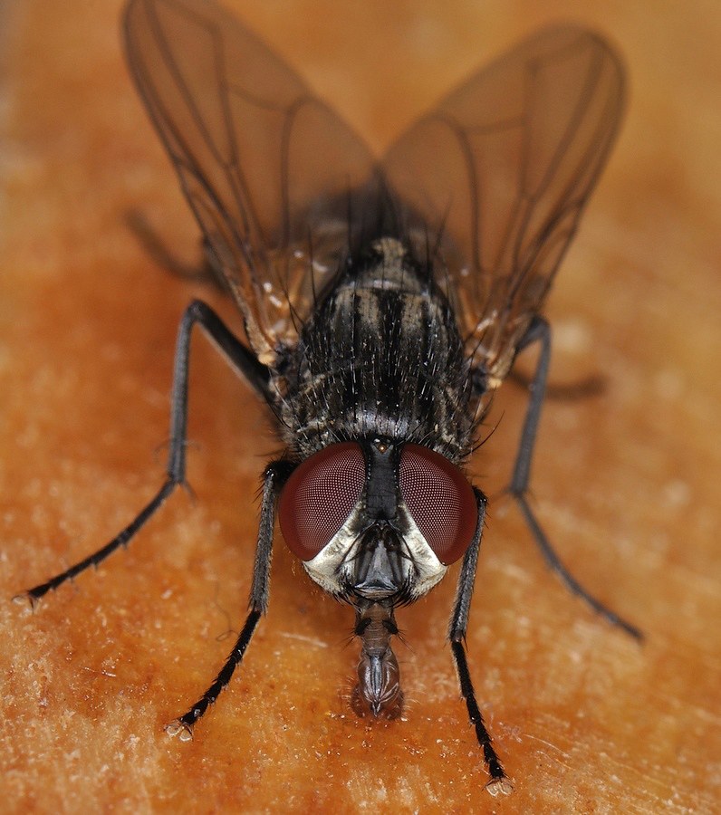 техника пришла...остался сюжет:)