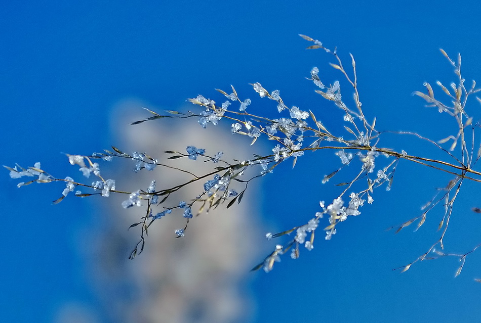 Заколка для Снегурочки.