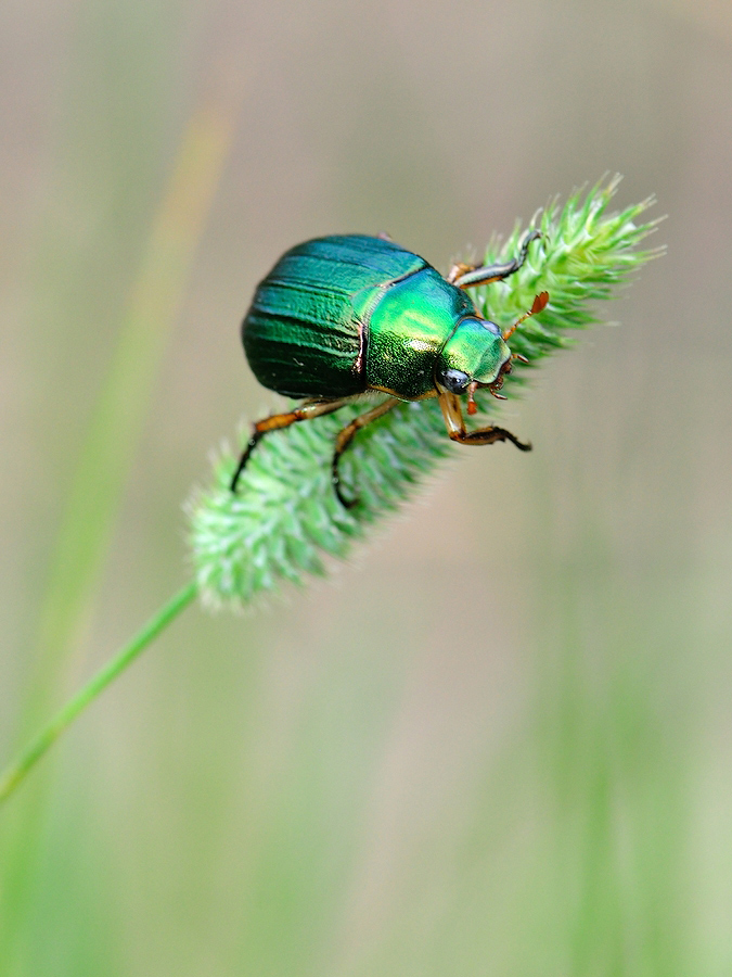 эээ..мужики! меня подождите!