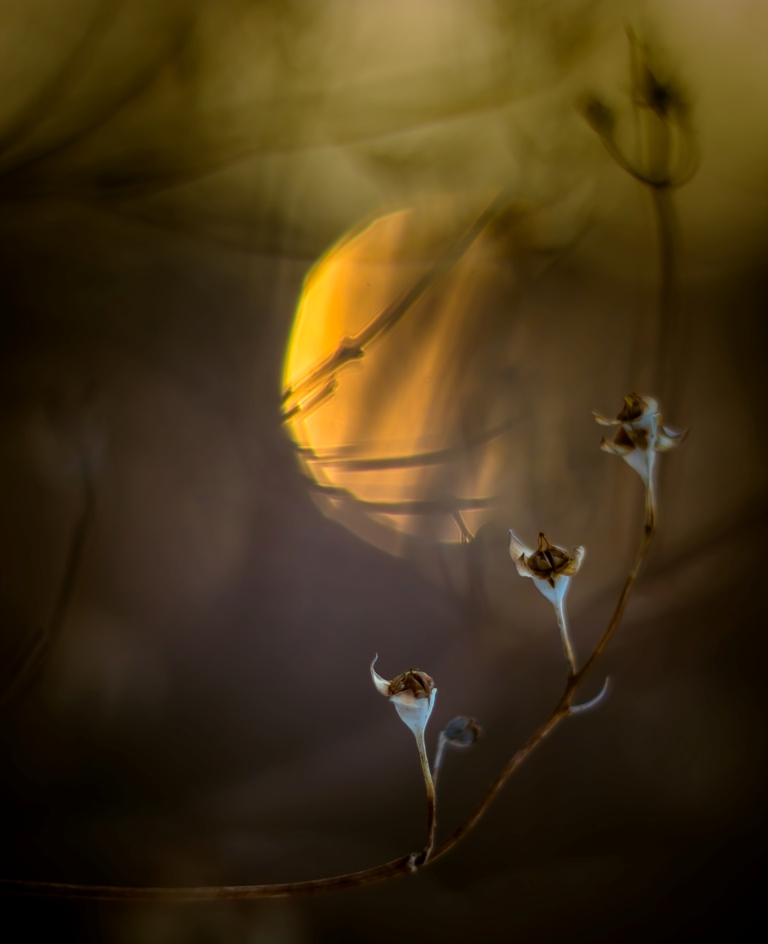 Три сестрицы под окном...