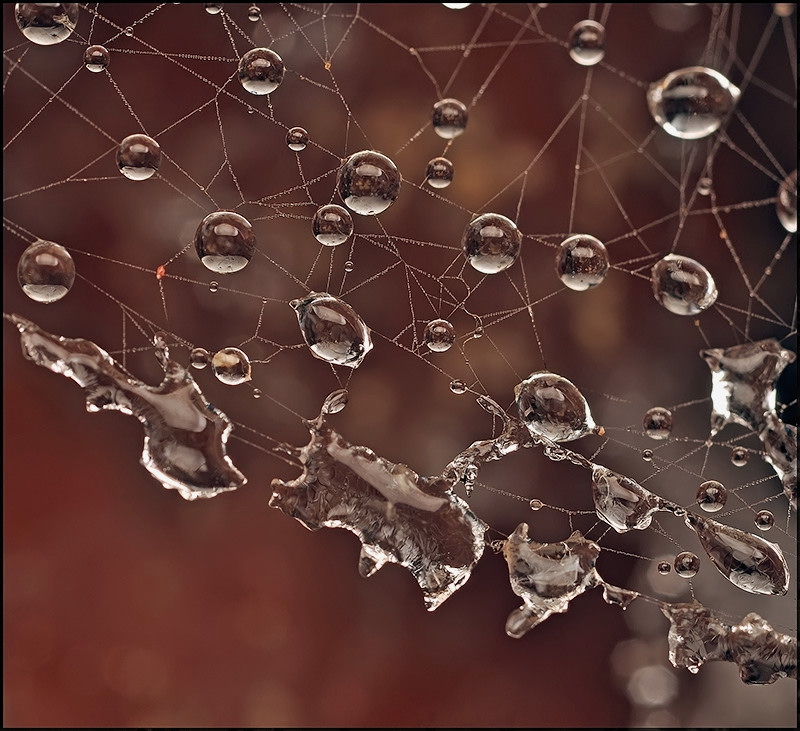 Зимнее эхо лета тепла...