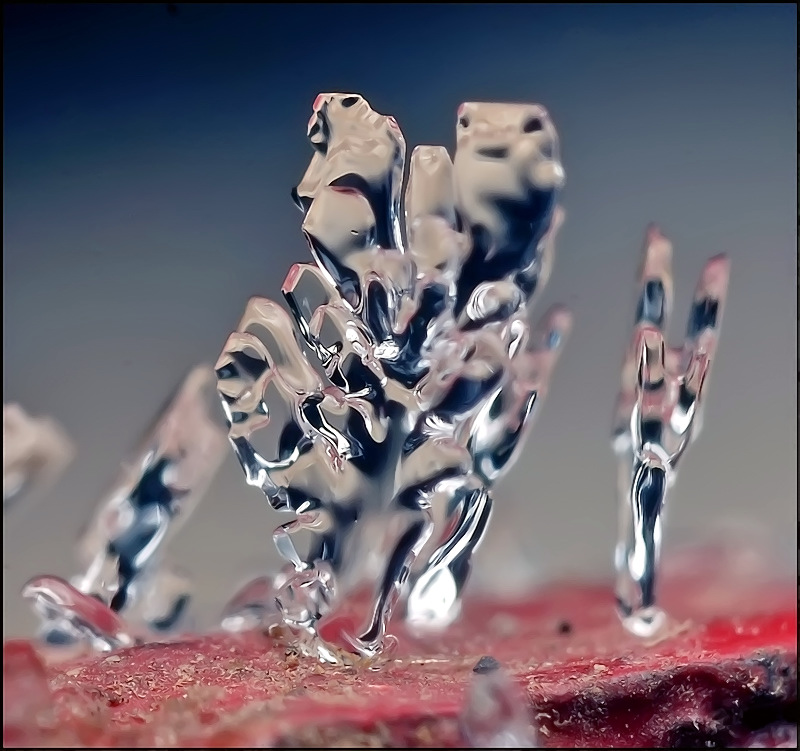 Волнение и тишина...