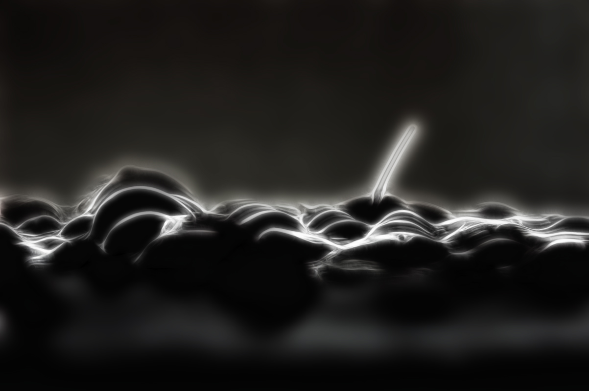 зимняя вишня для Poison