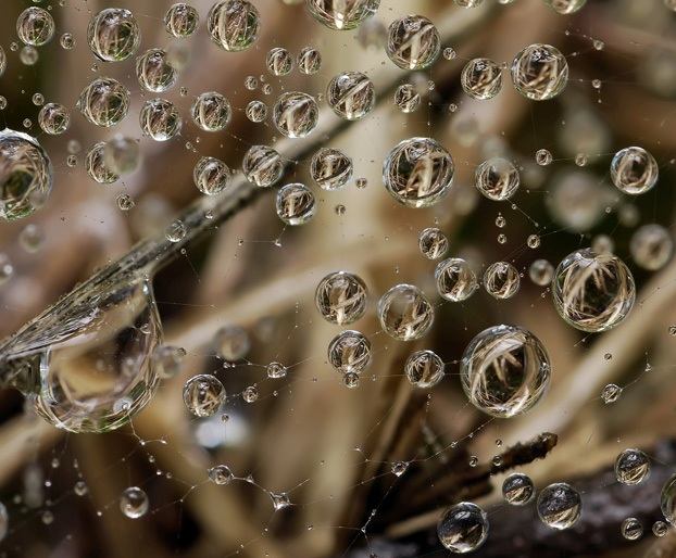 На утренней заре...
