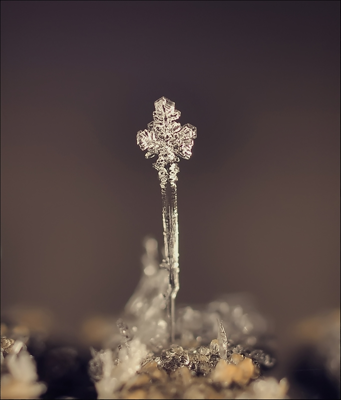 Видишь там на горе...