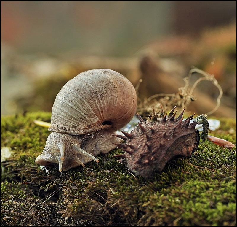 Всё равно НЕПОХОЖЕ...