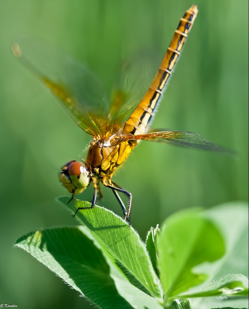 Взлет-посадка.