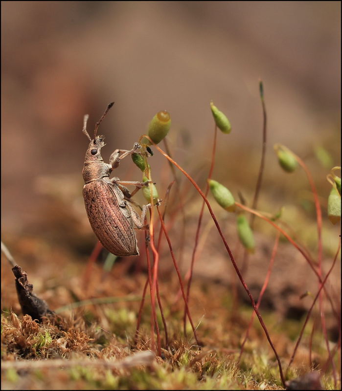 А нам монтажникам, больше всего ,лето нравится...