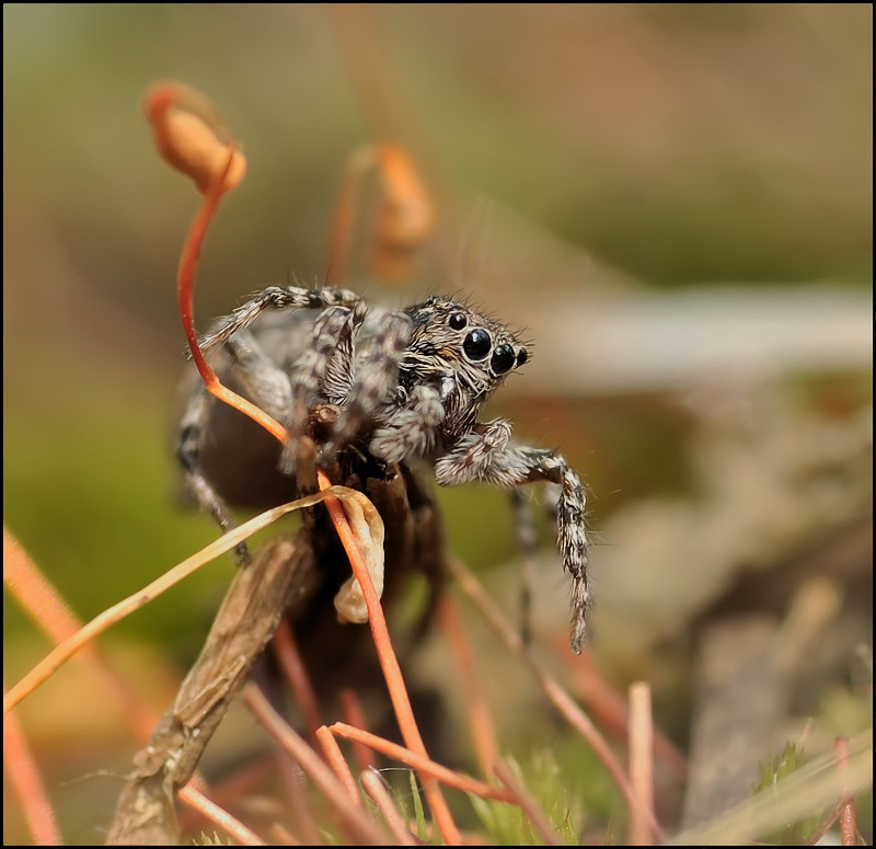 Перевалочный пункт...