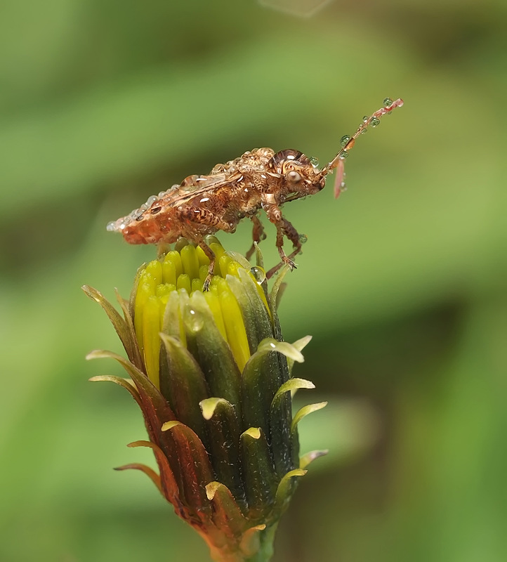 Прибытие-1...