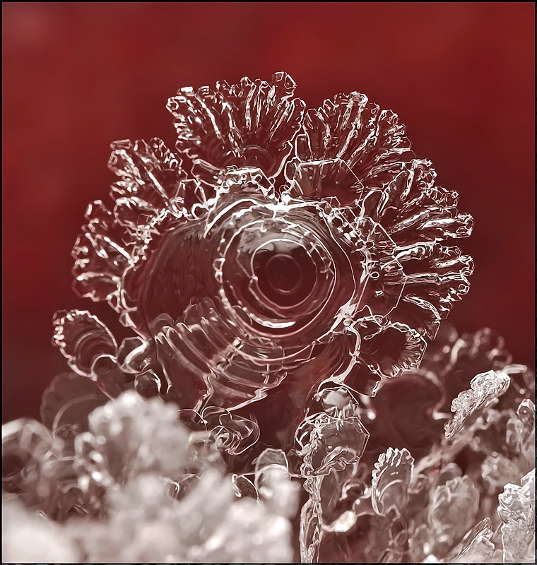 Печальная камбала...