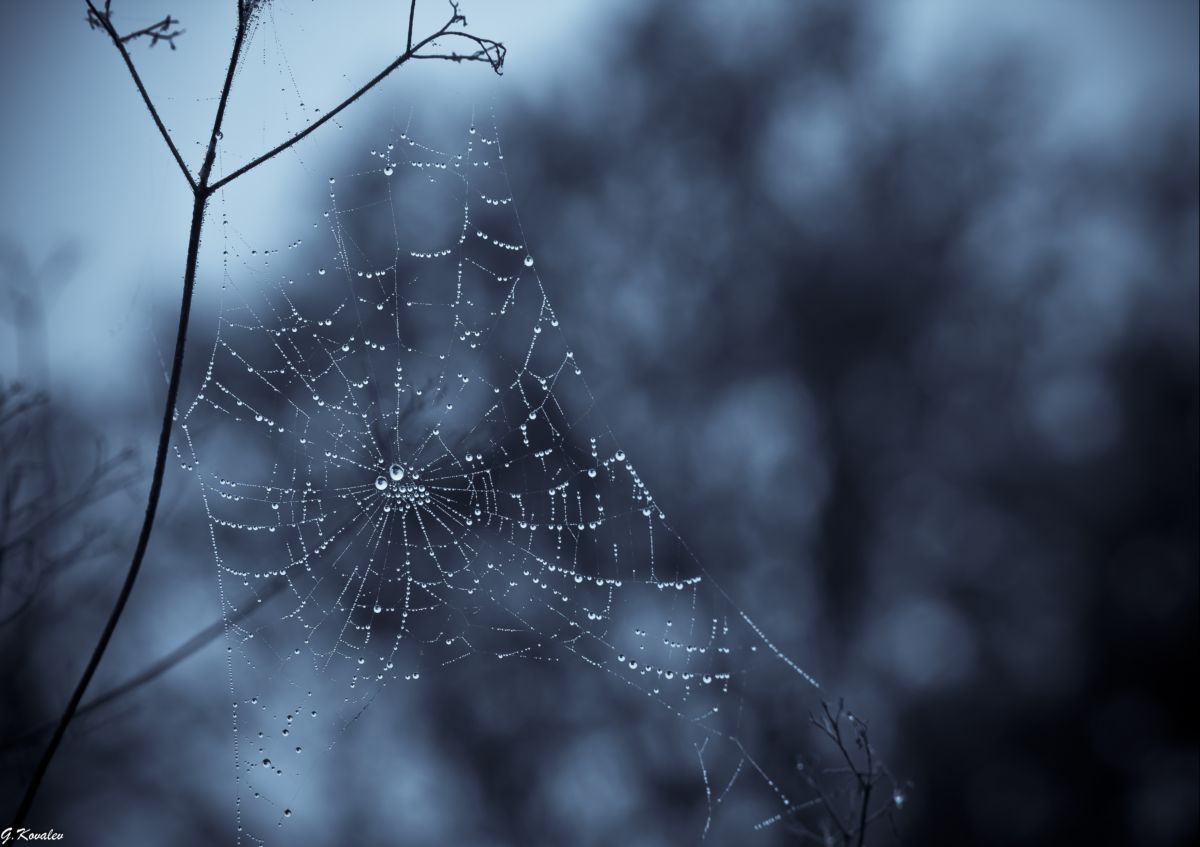 Уж небо осенью дышало...