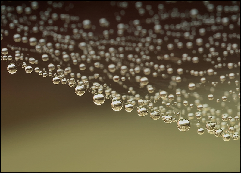 Мировые океаны...