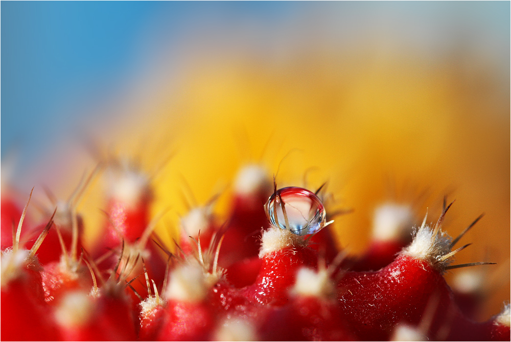 В некотором государстве