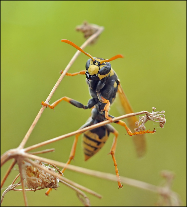 Тихая угроза...