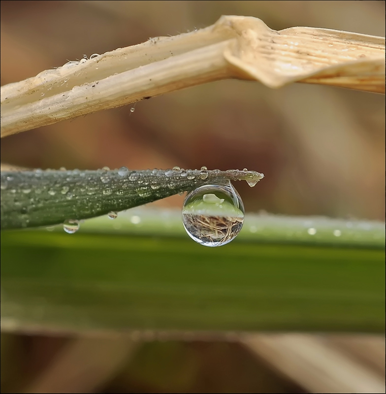 Ещё не тепло...