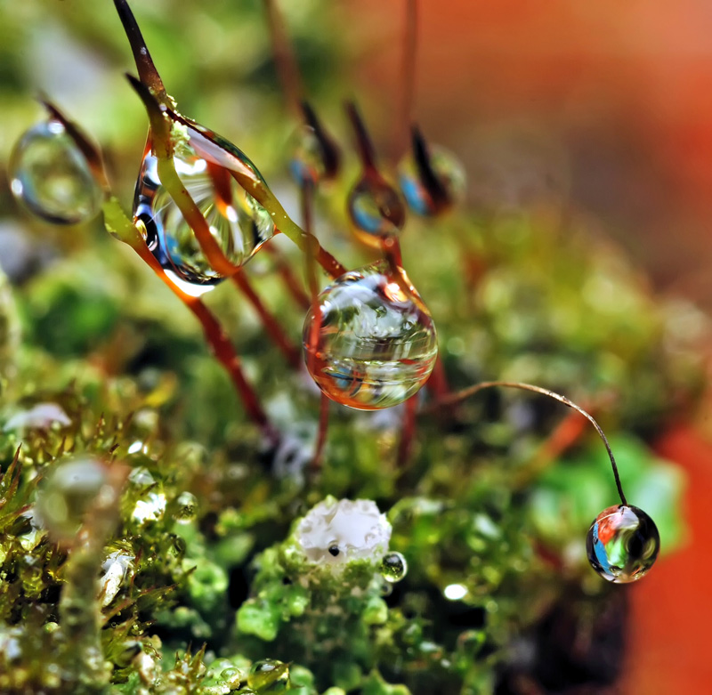 Перезагрузка...