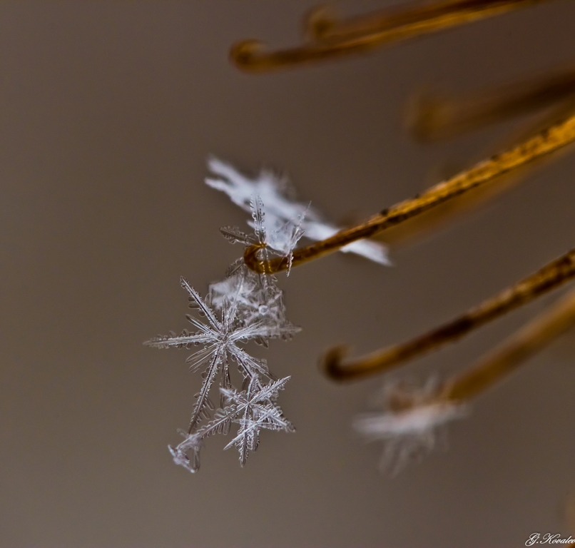 Украшения для ёлки...