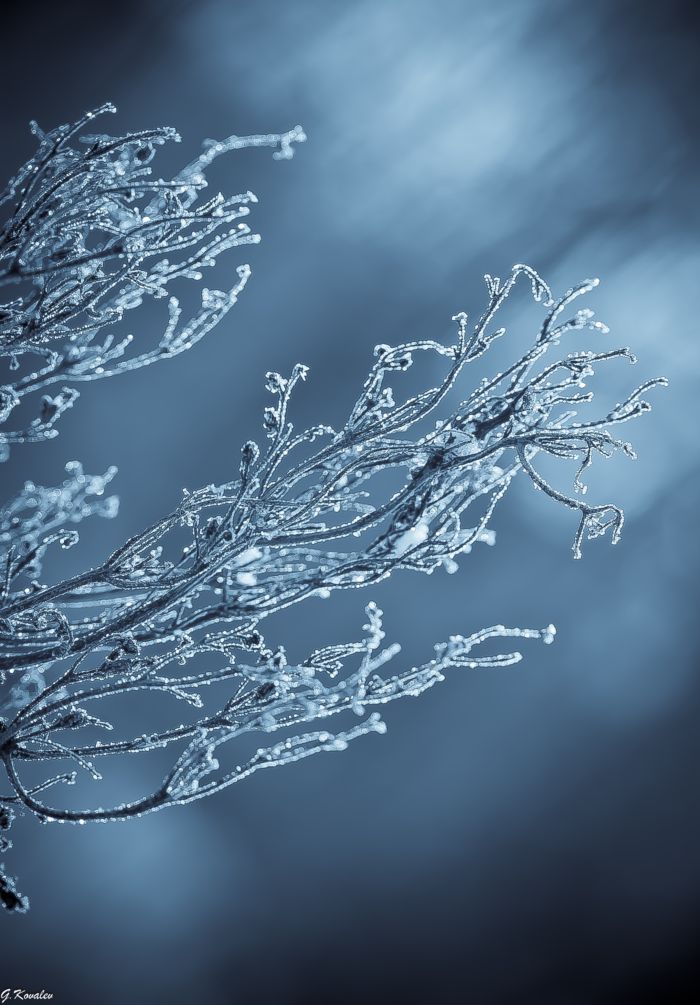 Как много нам мгновений чудных...