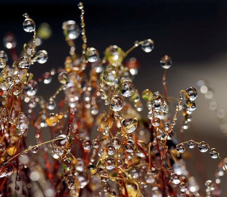 ОтрядНое пополнение..