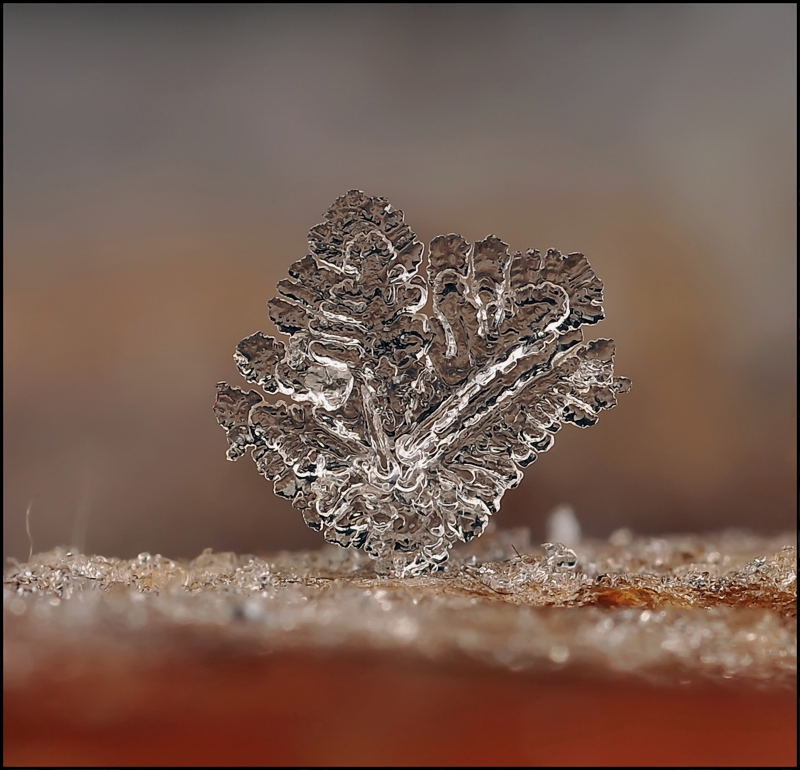 Лакомый кусочек...