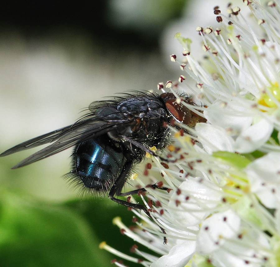 обед по расписанию