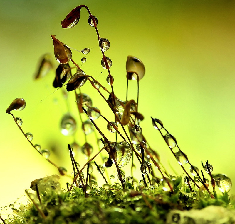 Солнце встаёт..