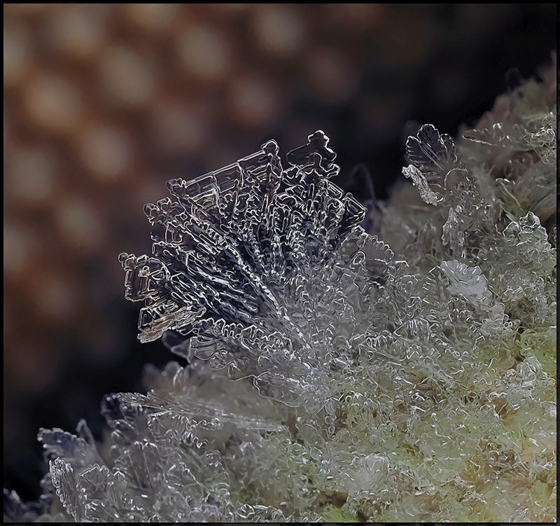 Немой взгляд...