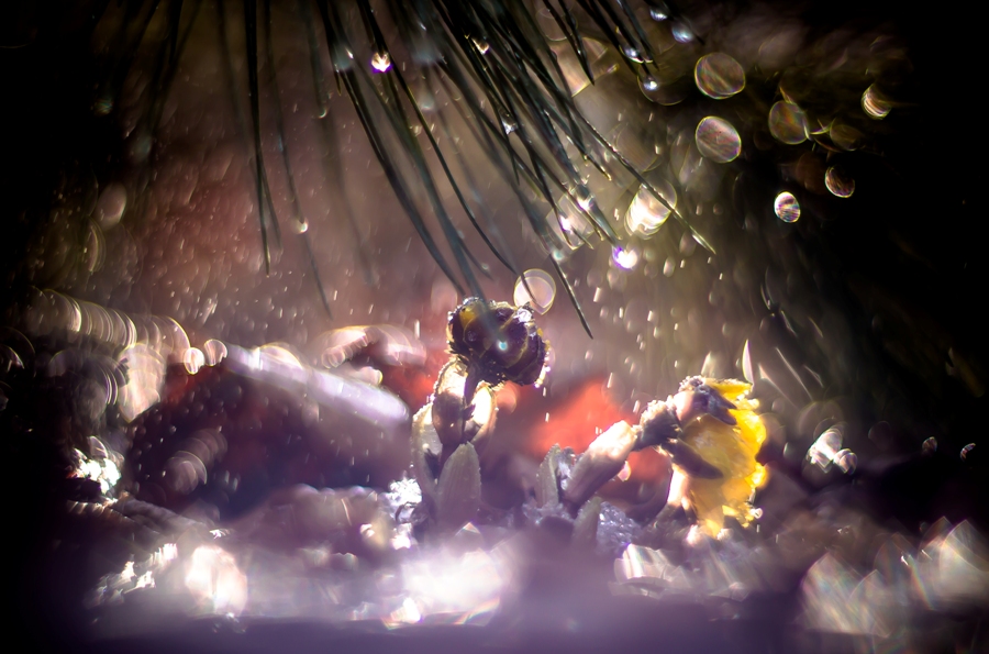 Феерия весны...