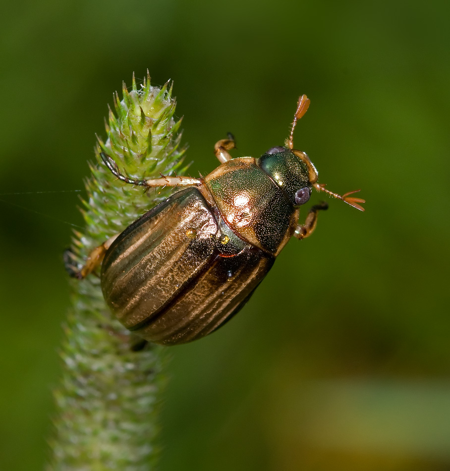 Не кочегары мы, не плотники!...