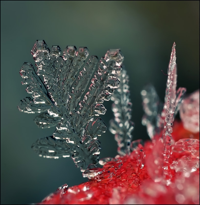 Морские камешки...